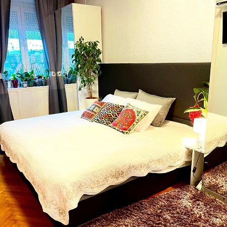 Margaret Bridge Cosy Flat Apartment บูดาเปสต์ ภายนอก รูปภาพ