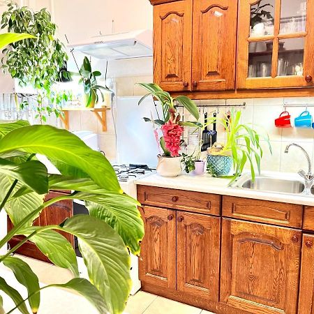Margaret Bridge Cosy Flat Apartment บูดาเปสต์ ภายนอก รูปภาพ